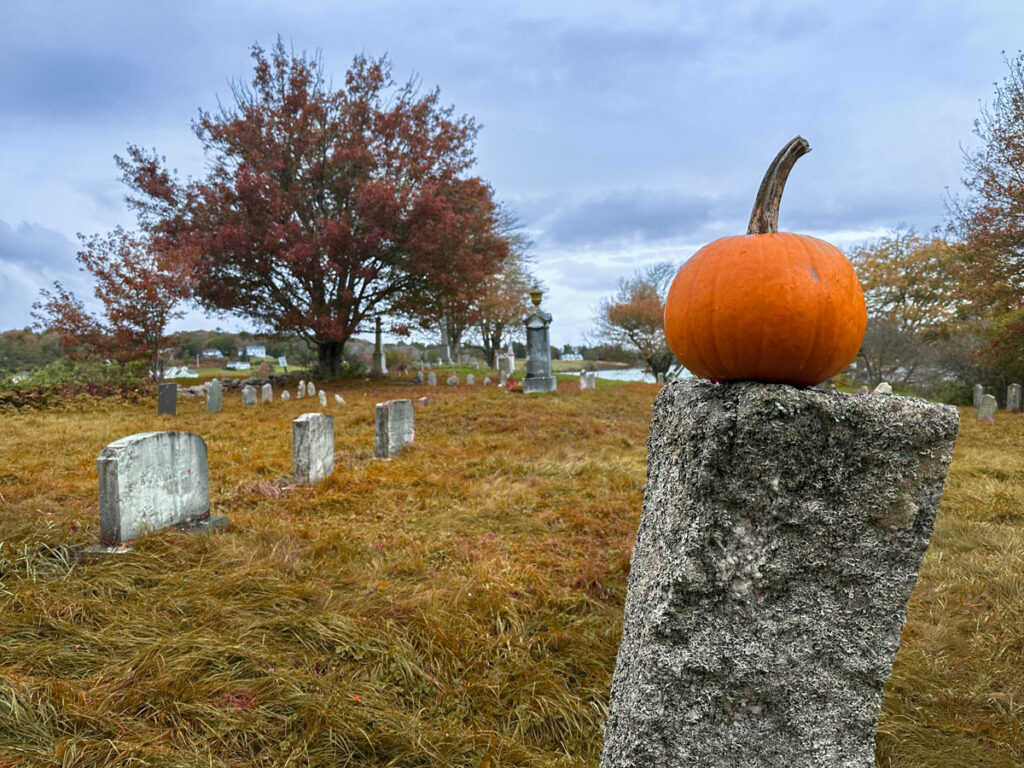 Pumpkin in October