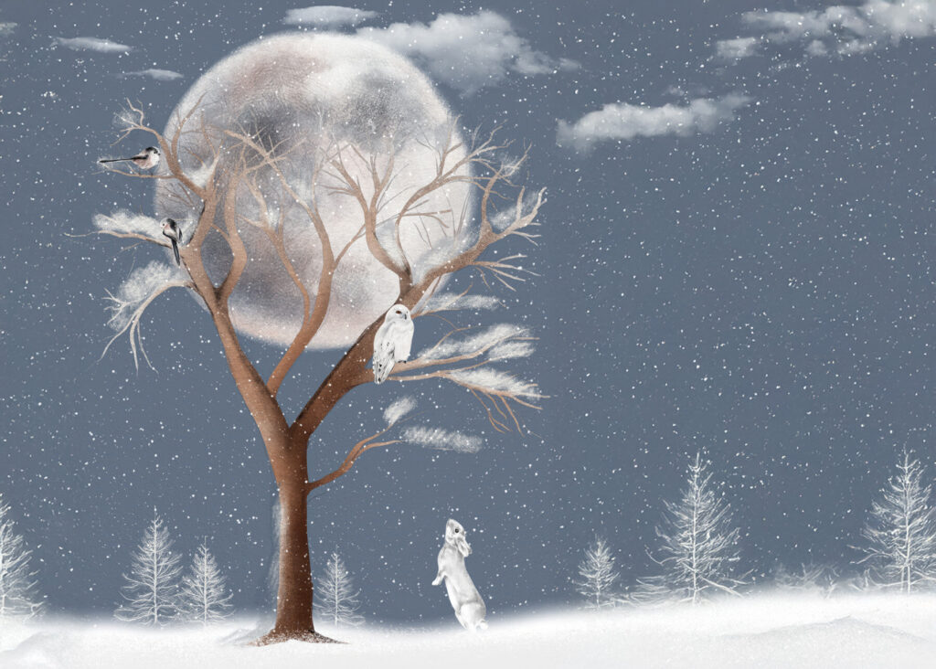 The Snow Moon