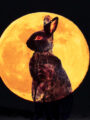 Hare Moon