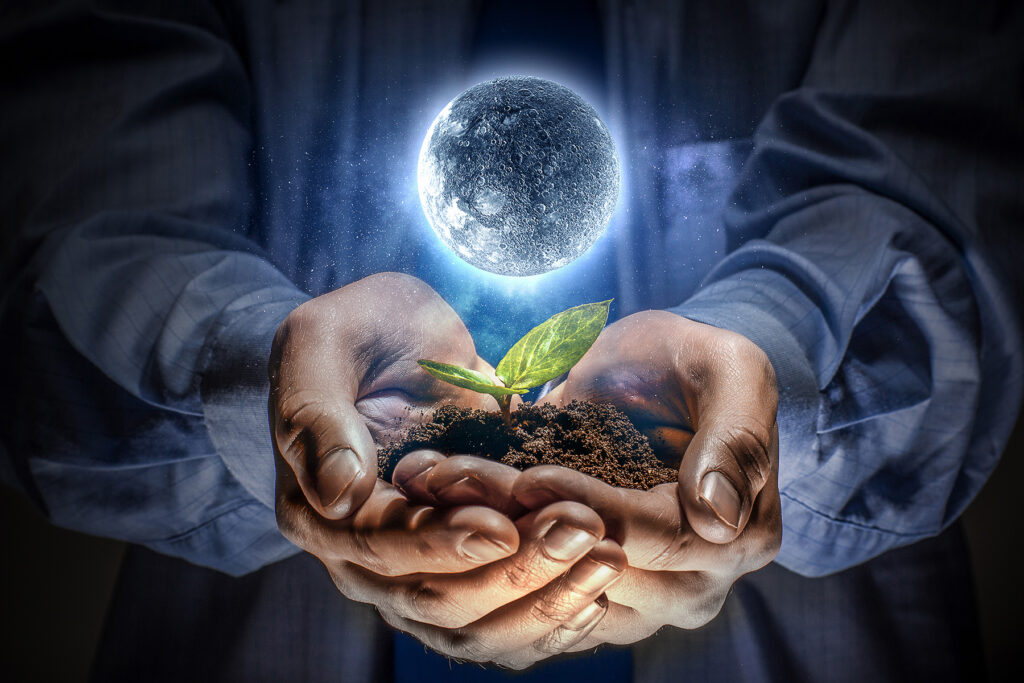 The Seed Moon