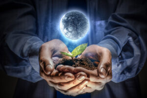The Seed Moon