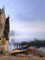 The Lightning-Struck Oak